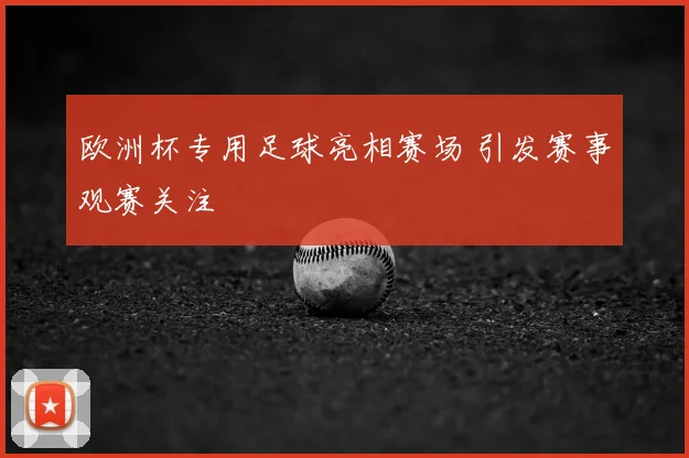 欧洲杯专用足球亮相赛场 引发赛事观赛关注