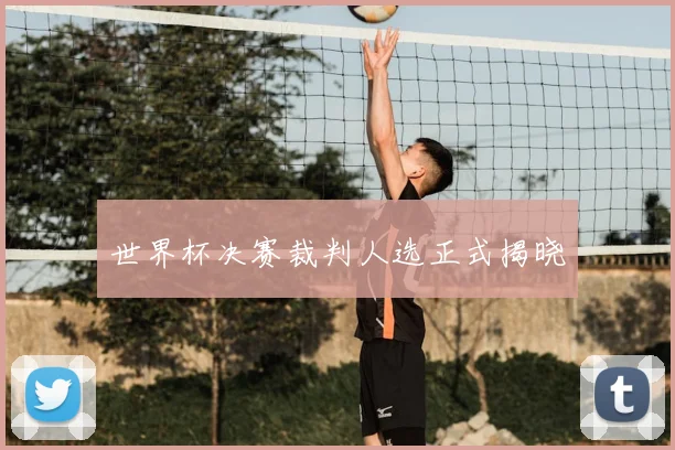 世界杯决赛裁判人选正式揭晓