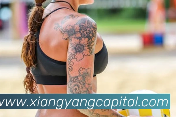 多媒体互动体验