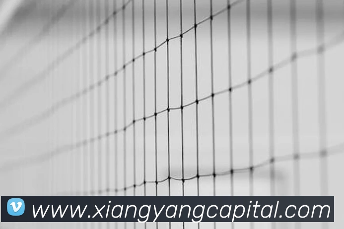 yy易游体育官网登录APP 高清赛事图